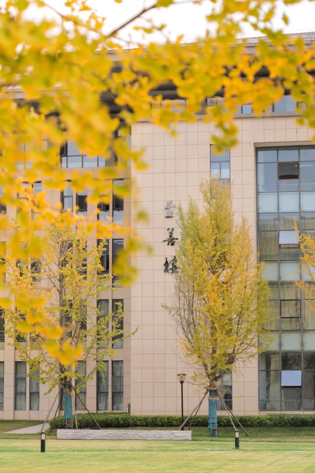 周末你好｜全新恩施學(xué)院秋日壁紙，無瑕！免費(fèi)出！