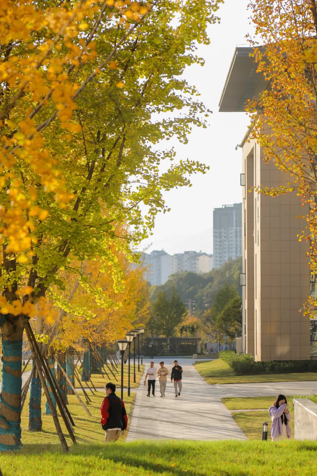 周末你好｜全新恩施學(xué)院秋日壁紙，無瑕！免費(fèi)出！