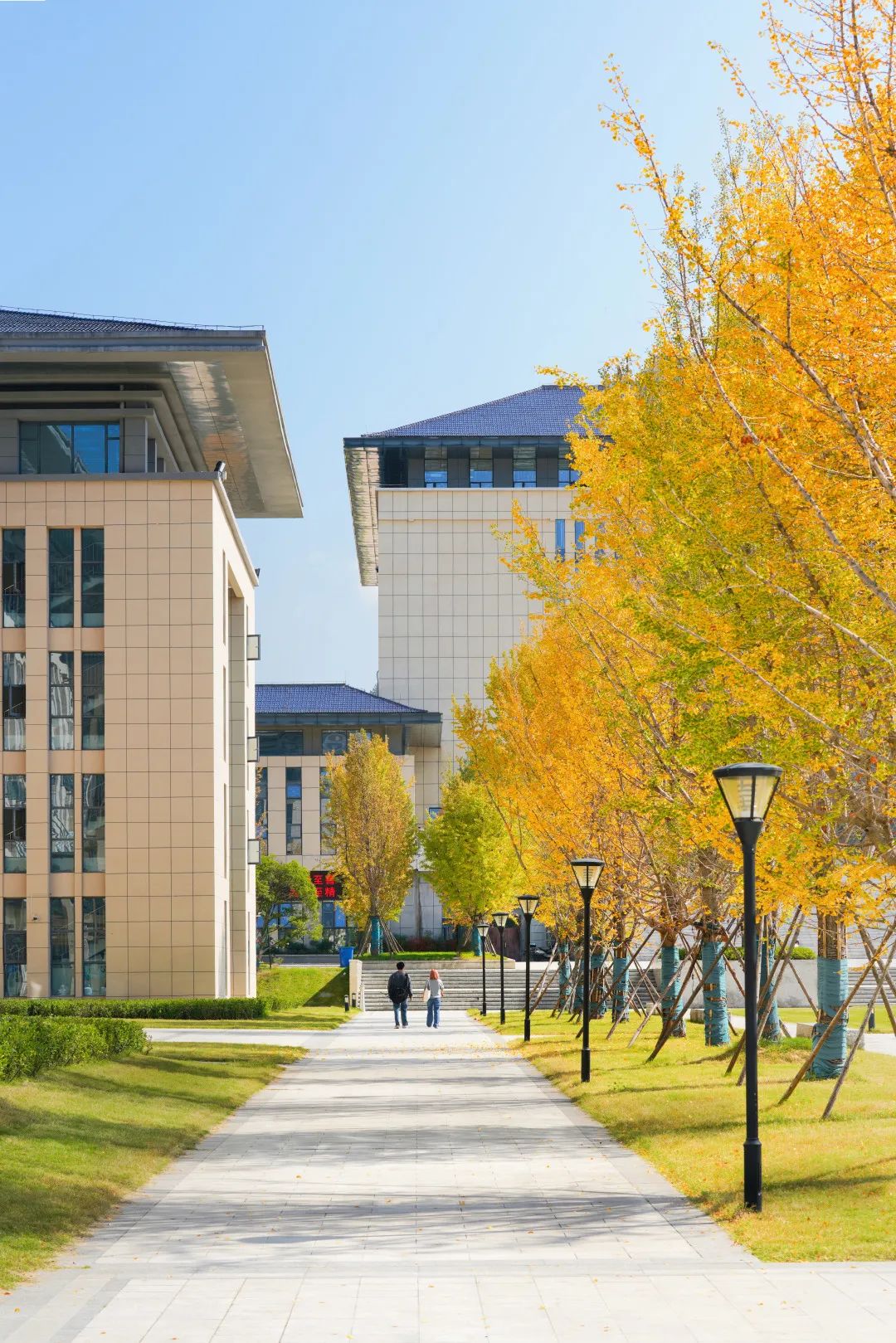 周末你好｜全新恩施學(xué)院秋日壁紙，無瑕！免費(fèi)出！