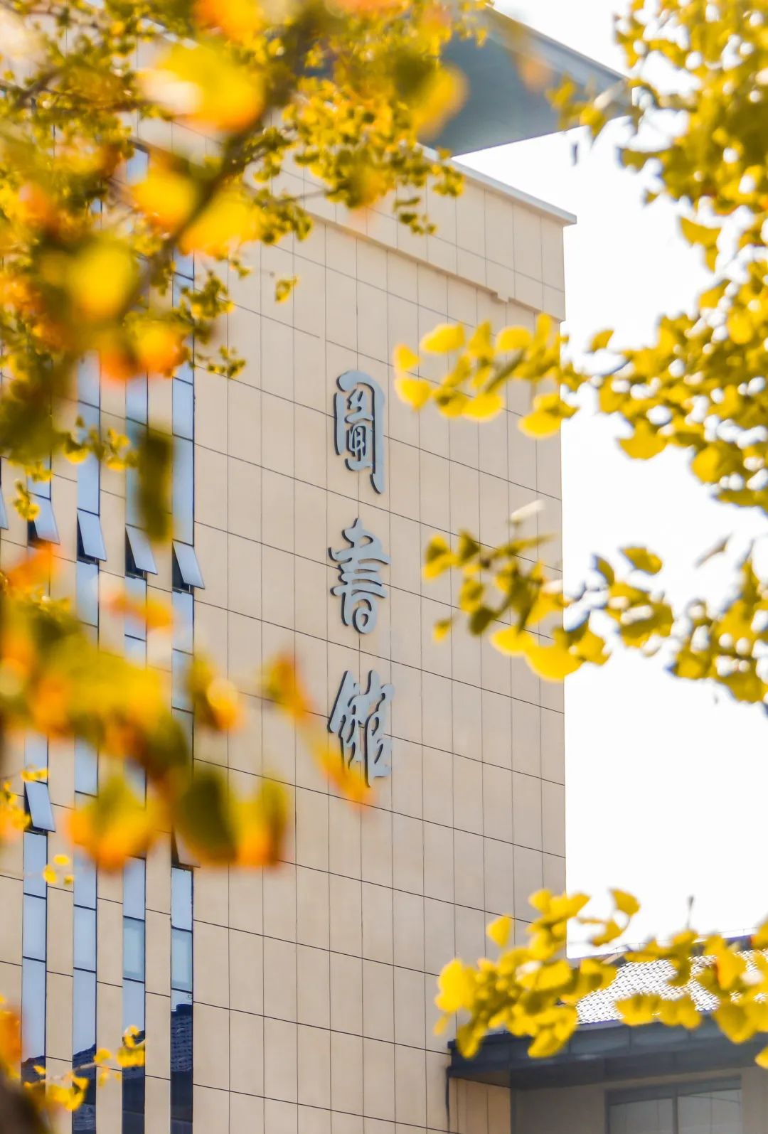 周末你好｜全新恩施學(xué)院秋日壁紙，無瑕！免費(fèi)出！