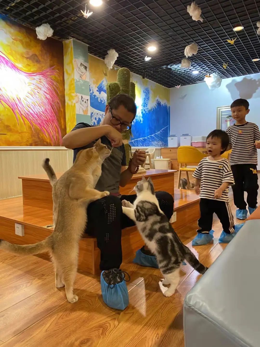 湖北恩施學(xué)院