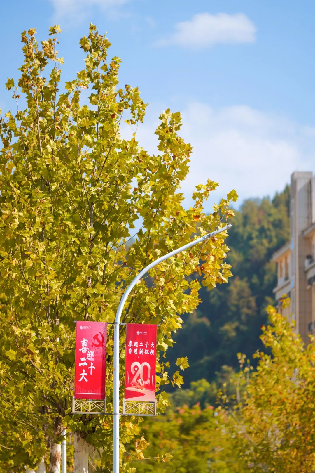 周末你好｜全新恩施學(xué)院秋日壁紙，無瑕！免費(fèi)出！