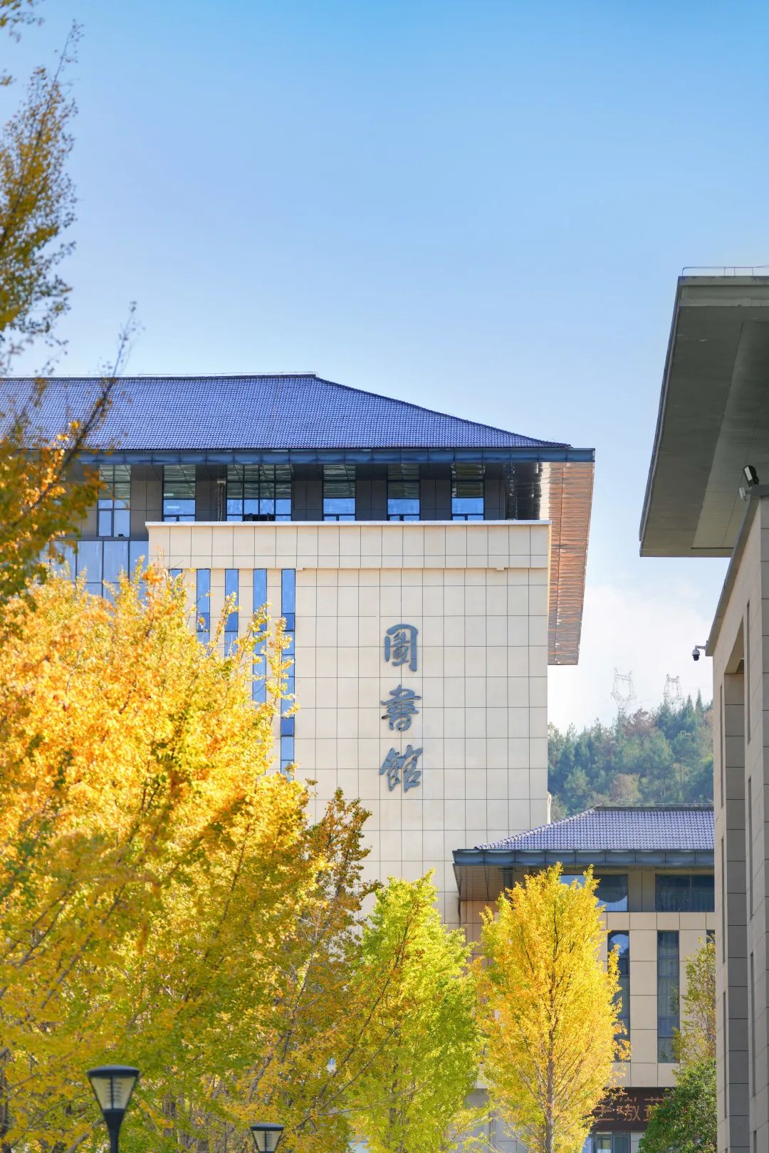 周末你好｜全新恩施學(xué)院秋日壁紙，無瑕！免費(fèi)出！