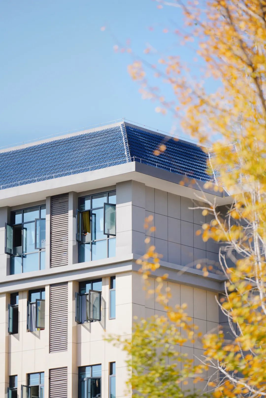 周末你好｜全新恩施學(xué)院秋日壁紙，無瑕！免費(fèi)出！