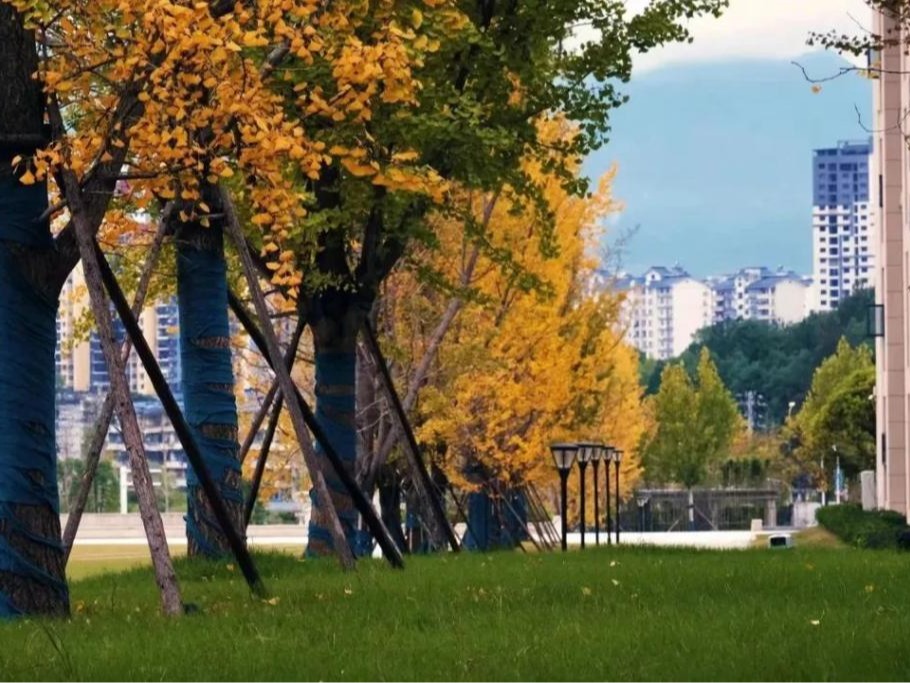 想見你 | 我想要兩顆西柚