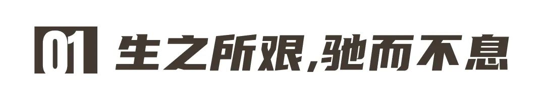 校友故事Vol.14｜領(lǐng)跑專(zhuān)升本，用行動(dòng)筑起本科夢(mèng)！