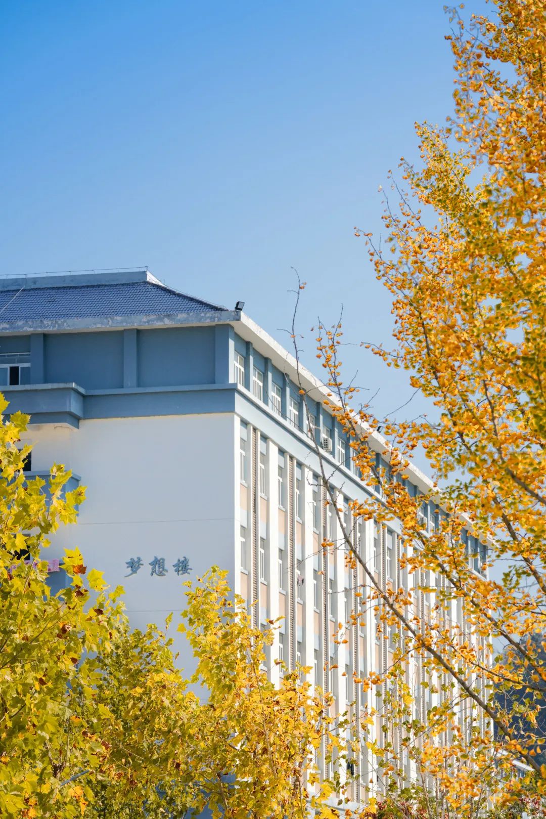 周末你好｜全新恩施學(xué)院秋日壁紙，無瑕！免費(fèi)出！