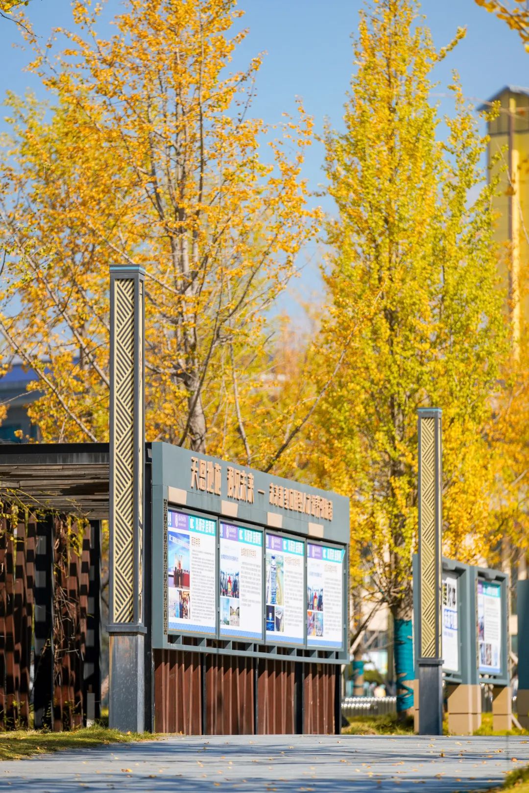 周末你好｜全新恩施學(xué)院秋日壁紙，無瑕！免費(fèi)出！